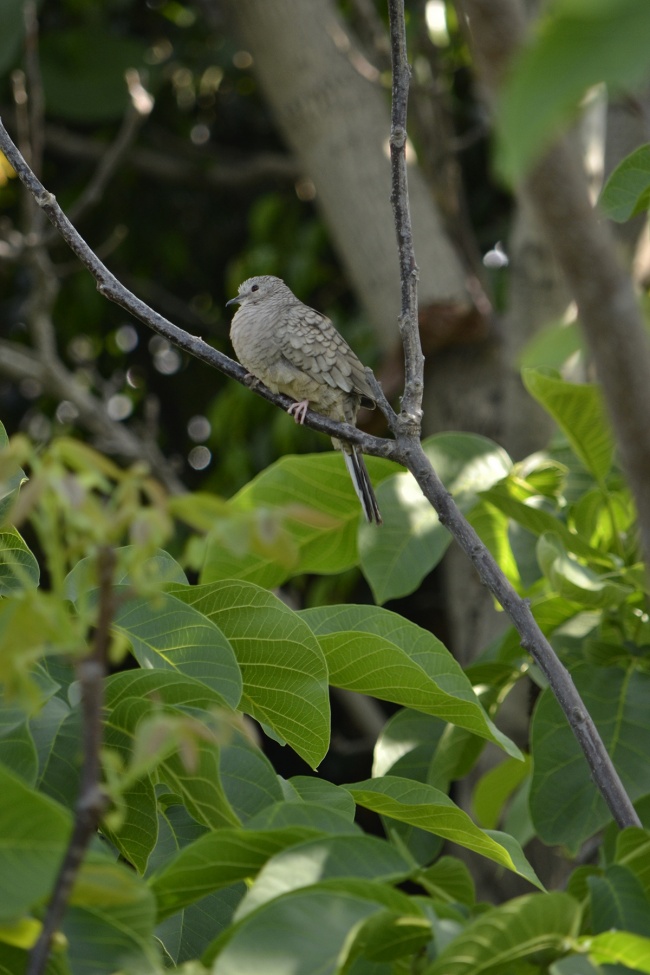 foto:Alelí Michel Pérez Martínez - lo hecho en México