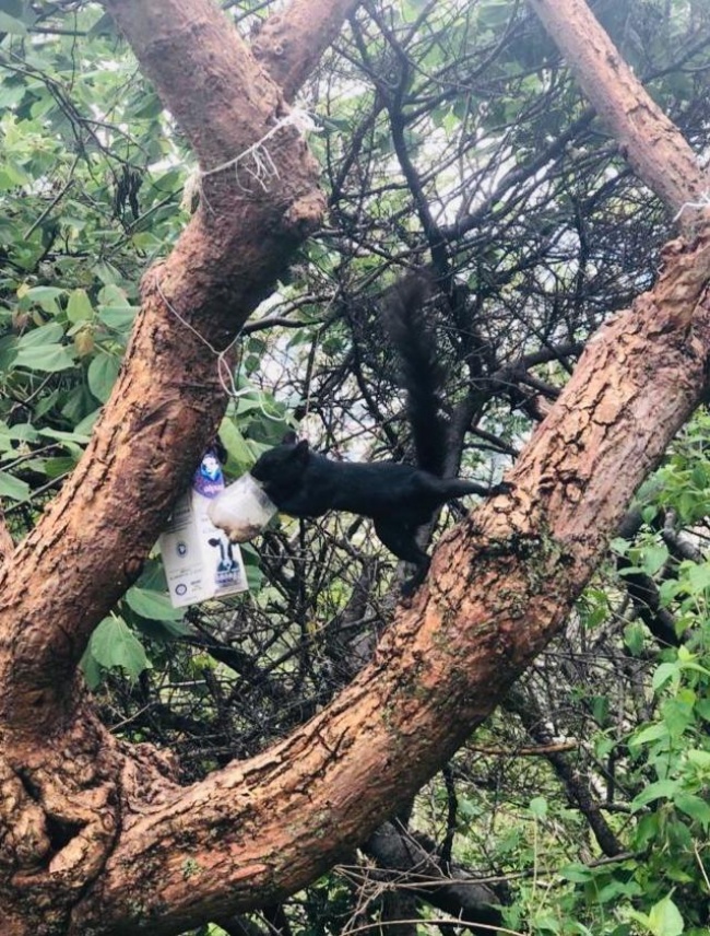 foto:Hanna Cabrera Toledo - lo hecho en México