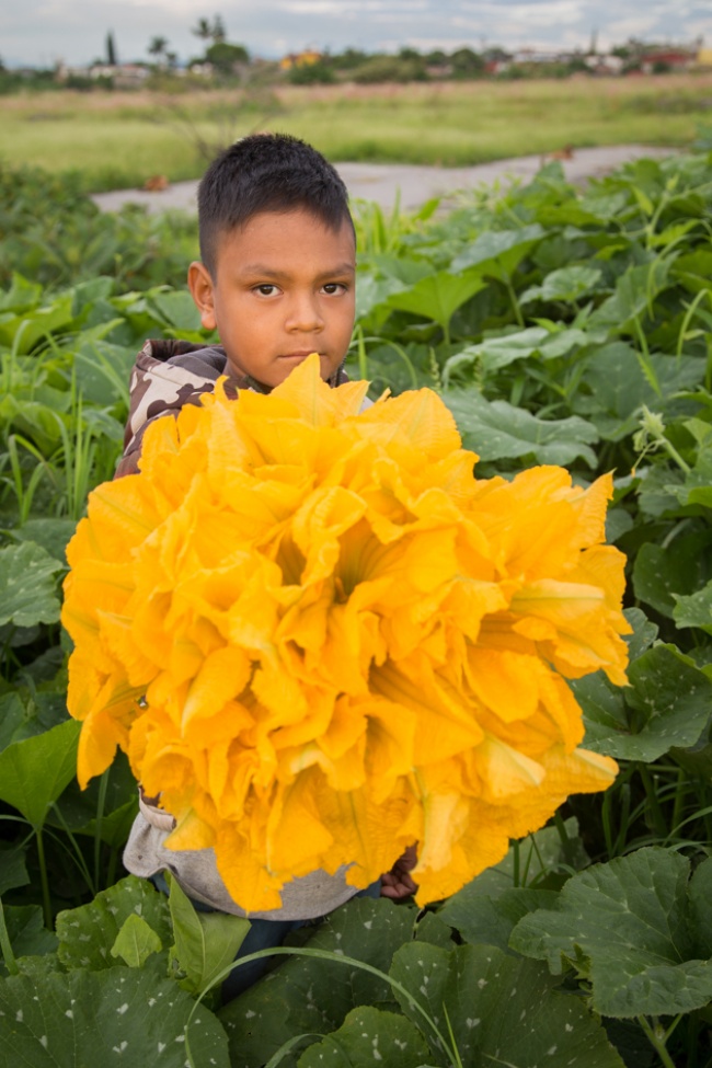 foto:Jonathan Vargas Jaimes - lo hecho en México