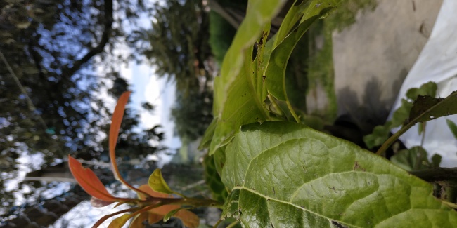 foto:Carolina Estefanía Cervantes Hinojosa - lo hecho en México