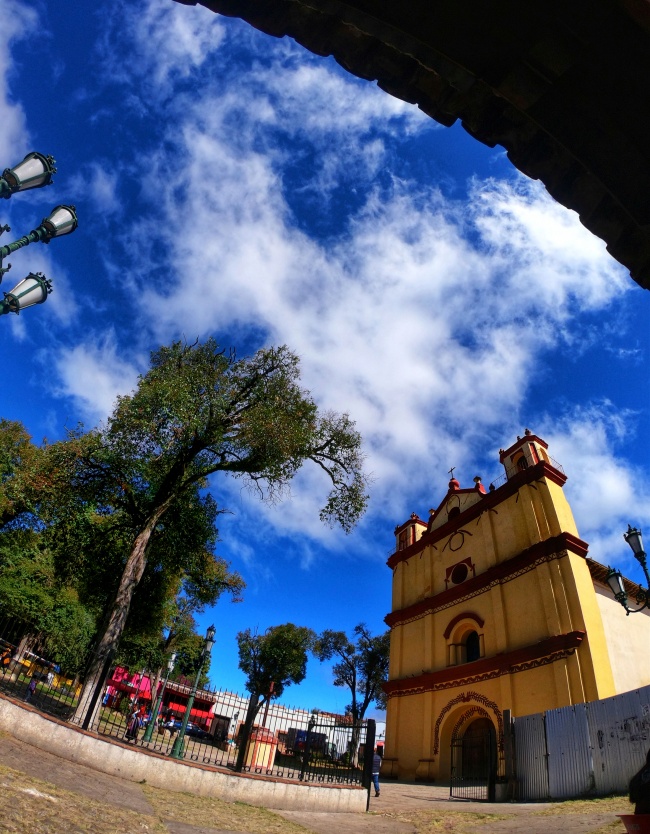 Yoshijel Montiel Alvarado 