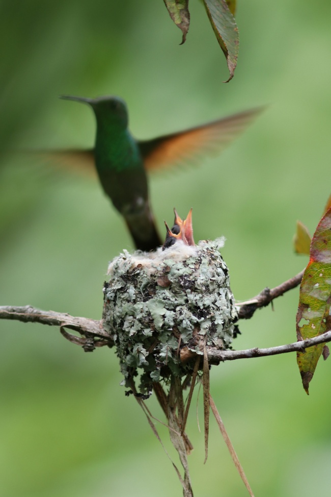 foto:pedro damiano yuit mex - lo hecho en México