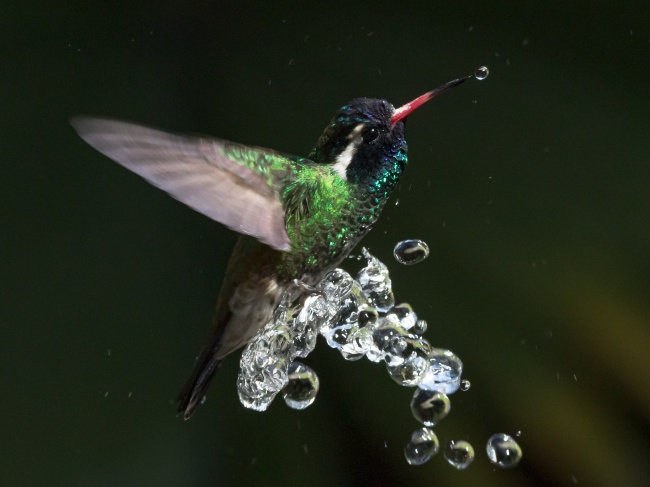 foto:Rafael Rodríguez Brito - lo hecho en México