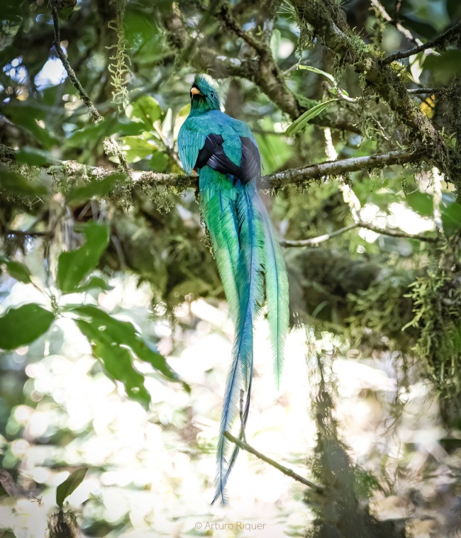 foto:Arturo Riquer - lo hecho en México