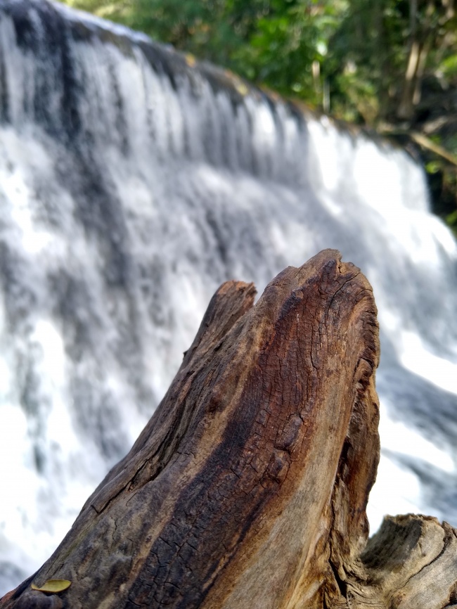 foto:Juan Morales Linares - lo hecho en México