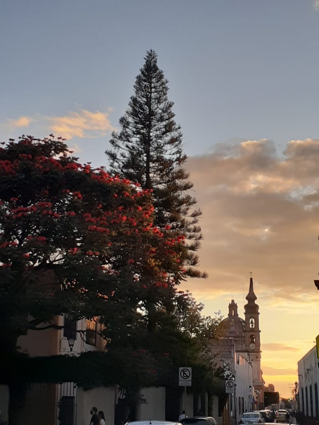 Regina Amelia Urbán Carrillo 