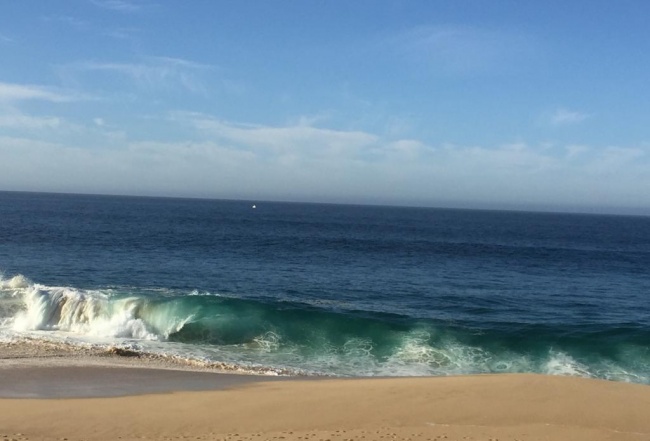 Ingrid Juárez González 