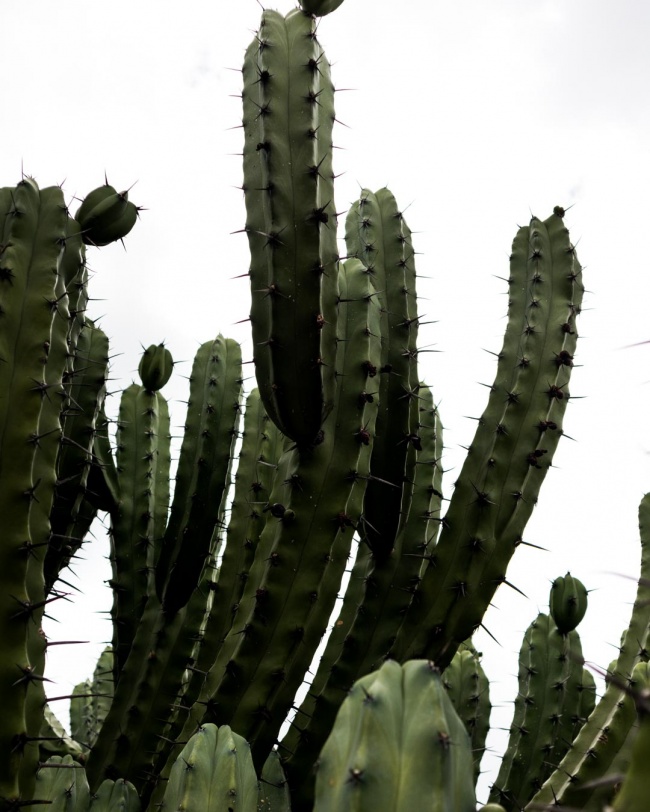 foto:Ligia Gabriela Vega - lo hecho en México