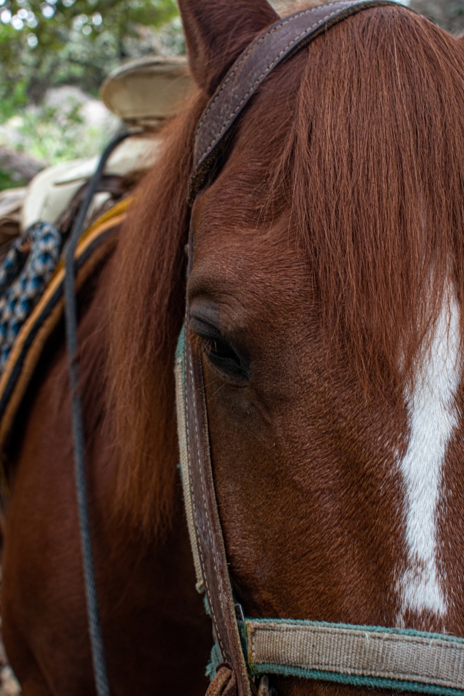 foto:Ana Cristina Gonzalez Delgado - lo hecho en México