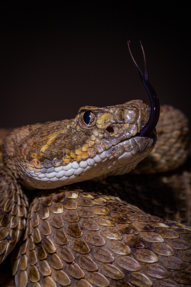 foto:Rodolfo Vega Littlewood - lo hecho en México