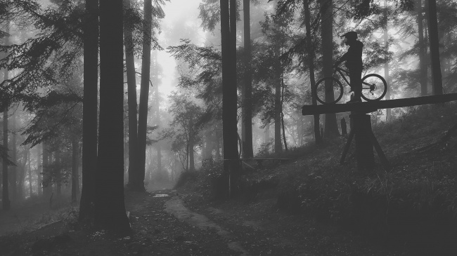 Jesús Alberto Araujo Ayala 