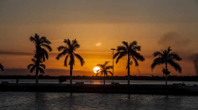 Ricardo Araujo Ayala 
