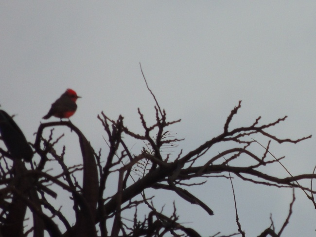 foto:Aleth Betzabe Castillo Sánchez - lo hecho en México