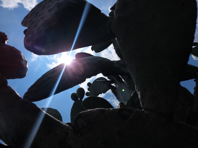 foto:José David de Jesús Fernández - lo hecho en México