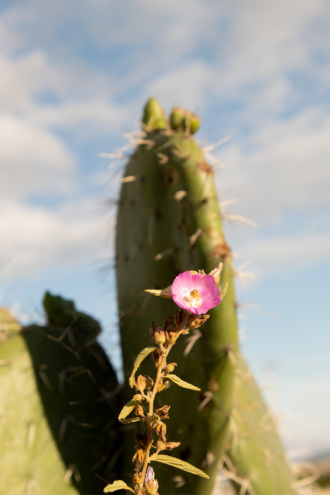 foto:Anahi Lartundo Avilés - lo hecho en México