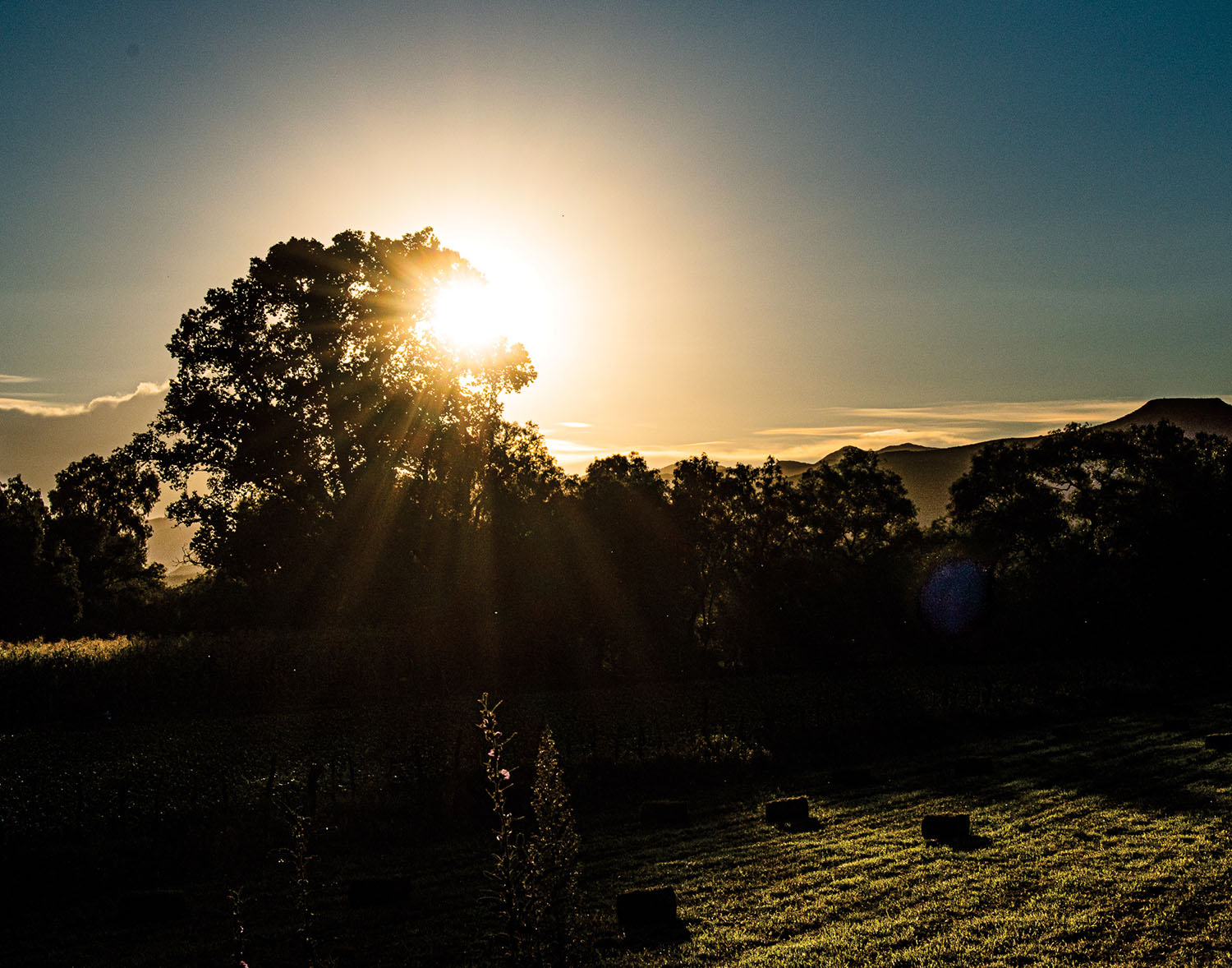 Marcelino Marcial Carrillo 