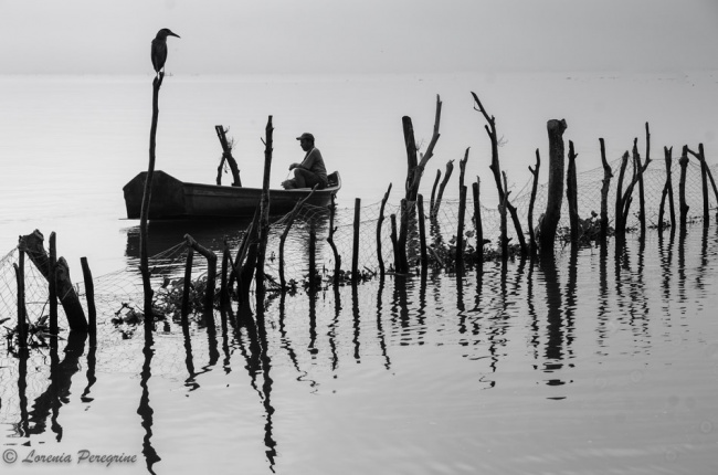 Loreni Tamborrell Guerrero 