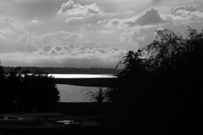 Pilar Garduño Hernandez 