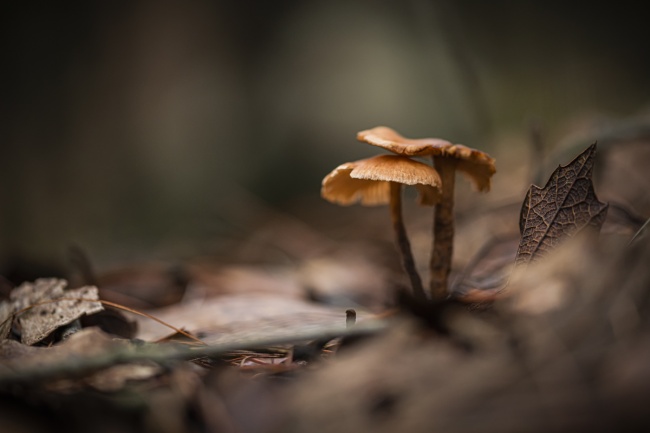 foto:Juan Carlos Gordoa Garcia - lo hecho en México
