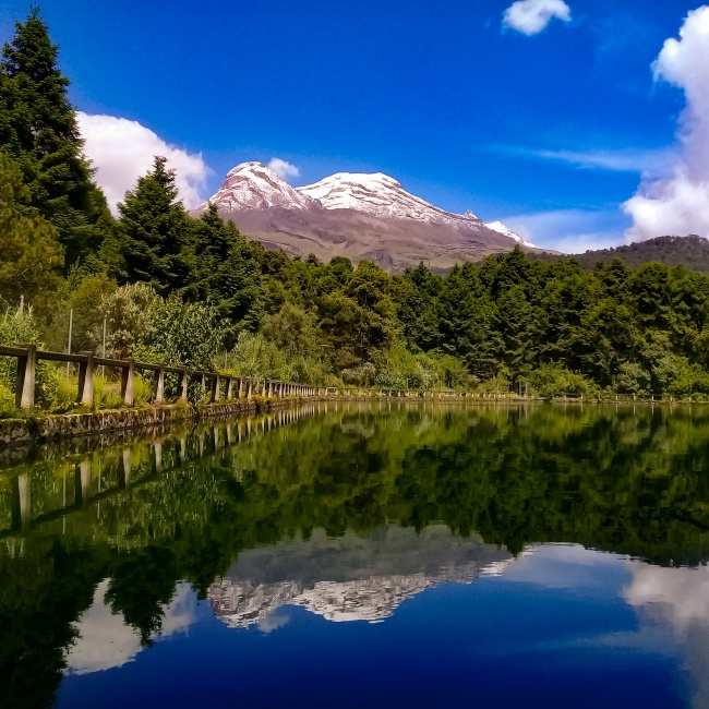 Angélica Villanueva Linares 