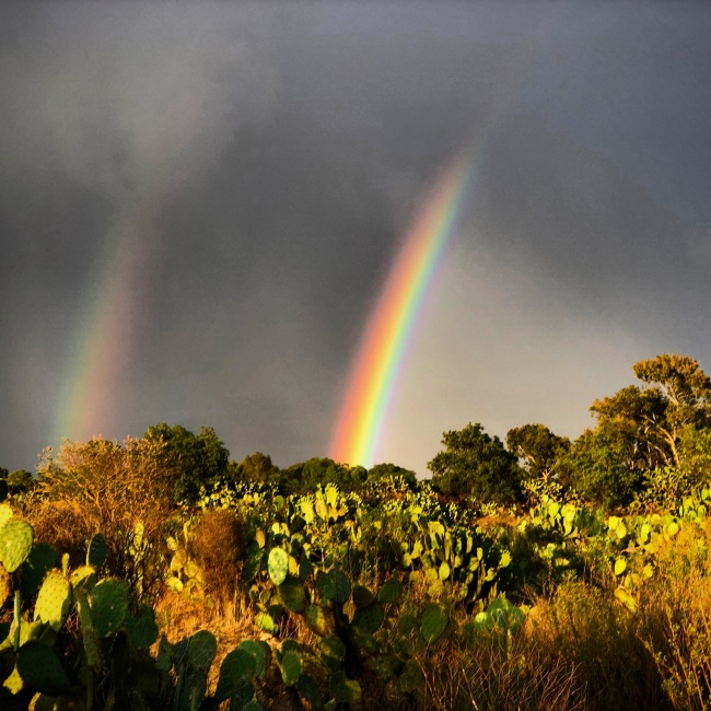 foto:Abad Quiroz Torres - lo hecho en México