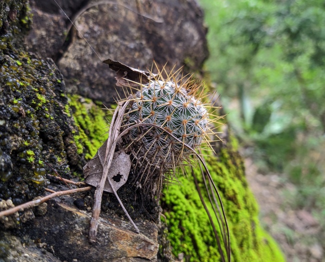 foto:José Antonio Osorio Cruz - lo hecho en México