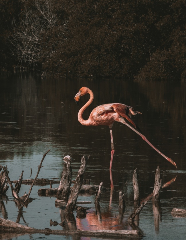 foto:Cinthia Esther Rodríguez Euan - lo hecho en México