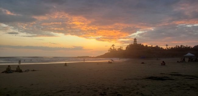 Paola Castillo Dominguez 