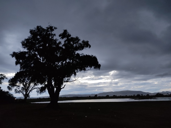 foto:Juan Omar Robledo Covarrubias - lo hecho en México