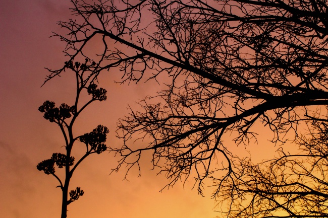 González Fernández 