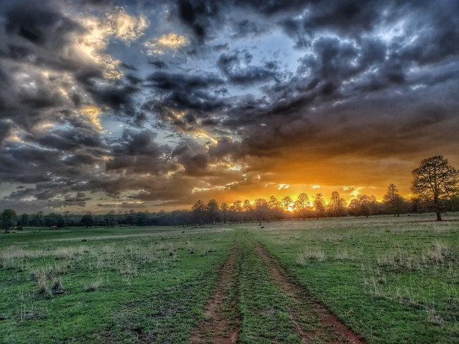 foto:Eduardo Gutierrez Martinez - lo hecho en México