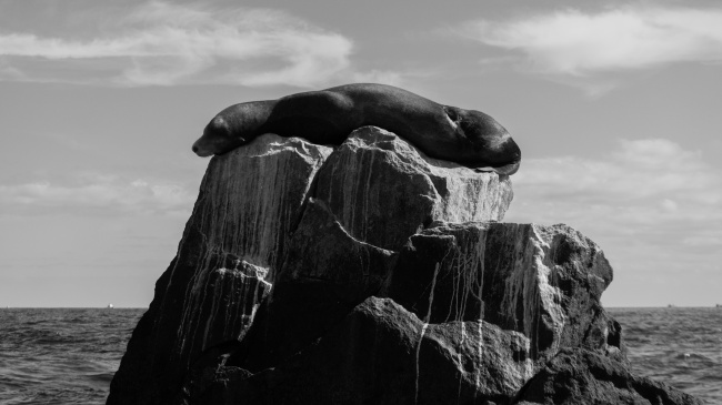 foto:Guillermo Felipe Aranda Novoa - lo hecho en México