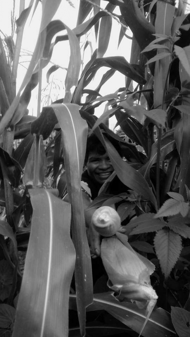 foto:Sandra Patricia Sevilla Trujillo  - lo hecho en México