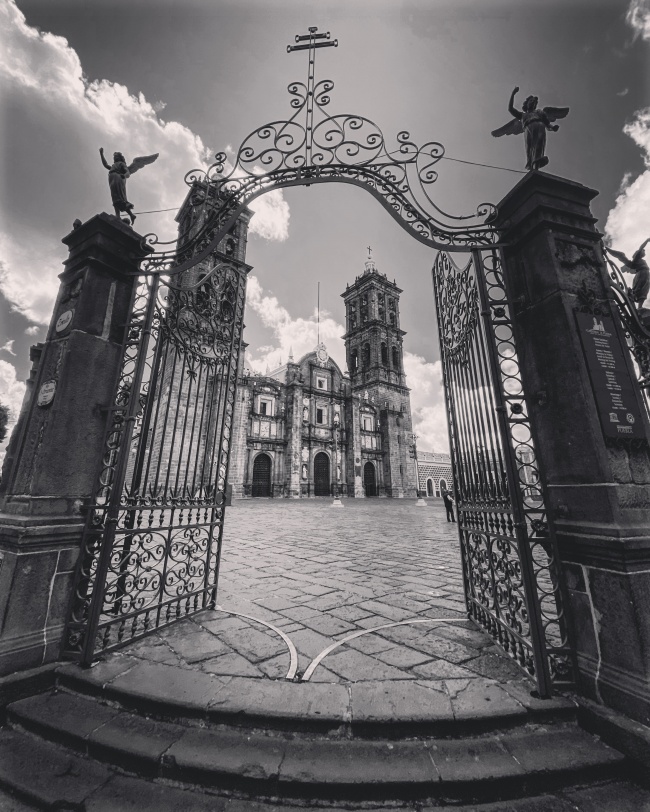 Marissa Lopez Donatt 