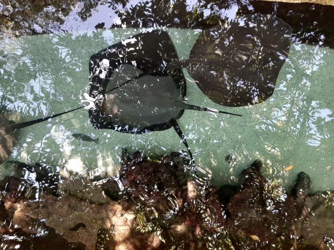 foto:María de los Angeles Karina Montoya de la Rosa - lo hecho en México