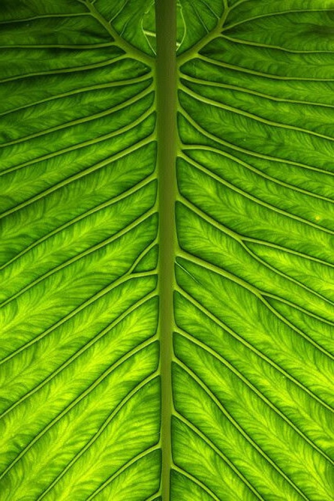 foto:sarahi barcenas guillen - lo hecho en México