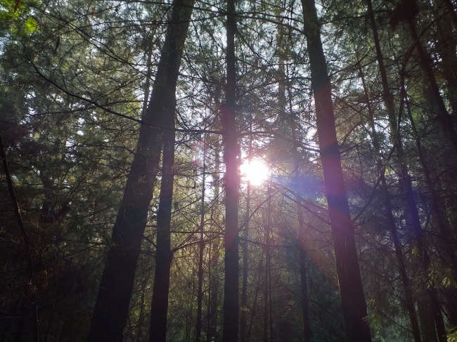 Edgardo Delgado Hernández 