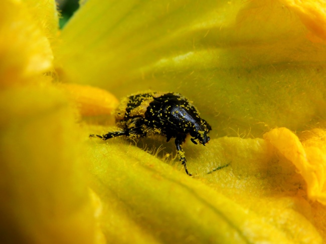 foto:Mariana González Rosas - lo hecho en México