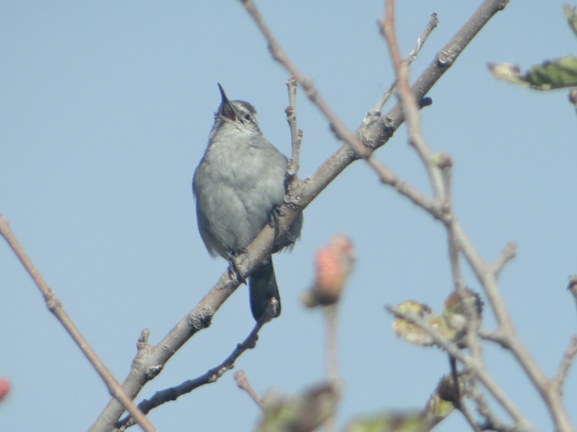 foto:Ricardo Momox Thomé - lo hecho en México