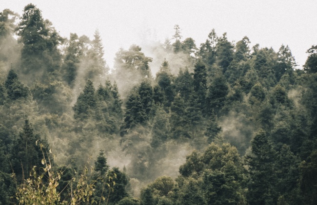 foto:Natalia Hernández Velasco - lo hecho en México