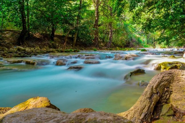 Daniela Munguía Mendoza 