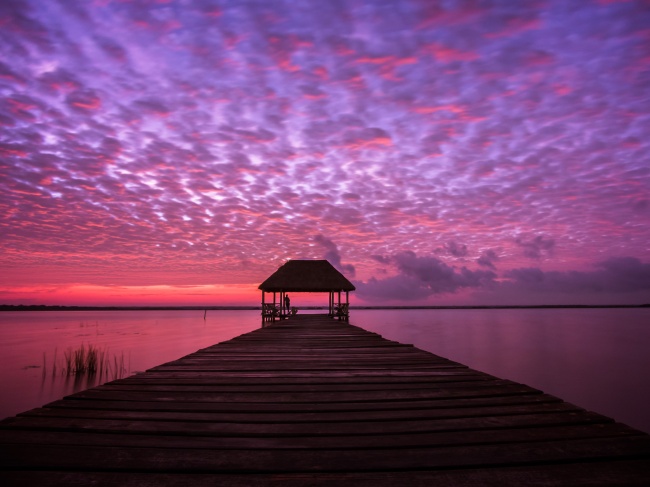 Mario Alberto Navarrete León 