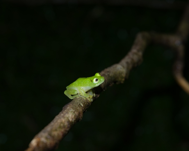 foto:Orlando R Vivanco - lo hecho en México