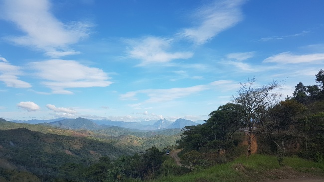 Cosijopii Pitao Cozobi Zarate Ramírez 