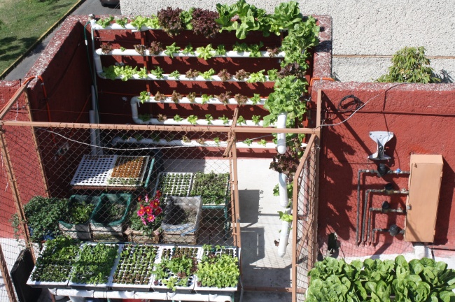 foto:Darío Rivera Lozoya - lo hecho en México