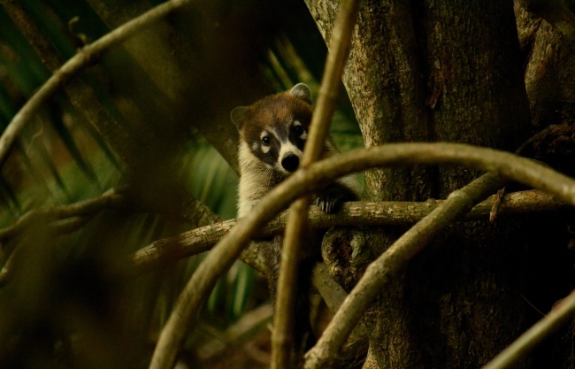 foto:Bernardo Lizarraga Roqueñi - lo hecho en México