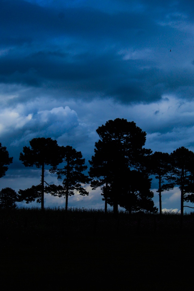 foto:Josef Joel Bretado Palomarez - lo hecho en México