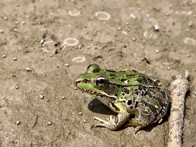 foto:Eduardo Huerta García - lo hecho en México