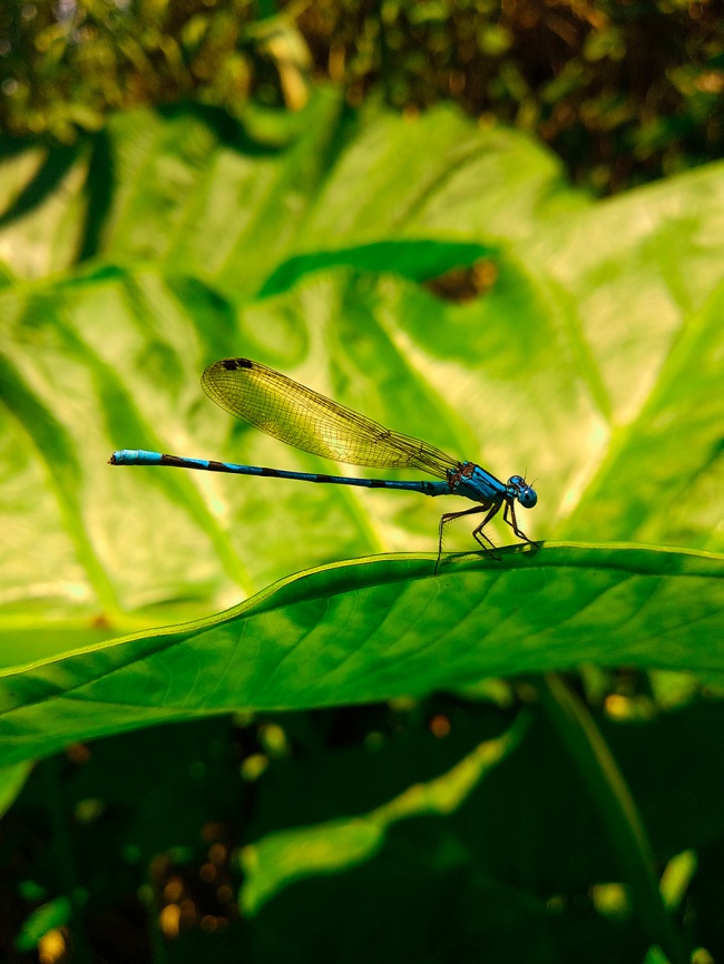 foto:Alejandro Pineda Montoya - lo hecho en México