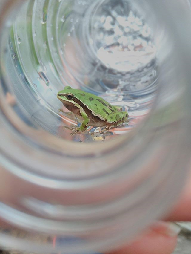 Ahide Cristal Quintero Hernández 